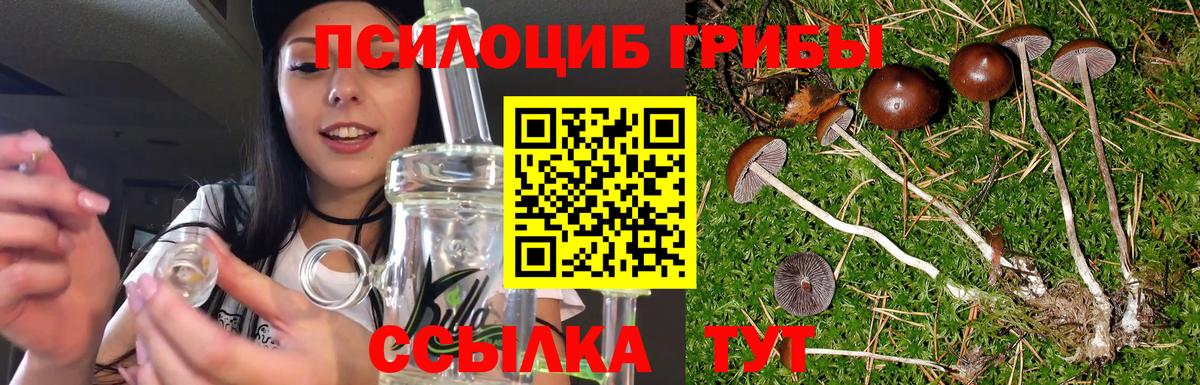 Псилоцибиновые грибы Magic Shrooms Мирный