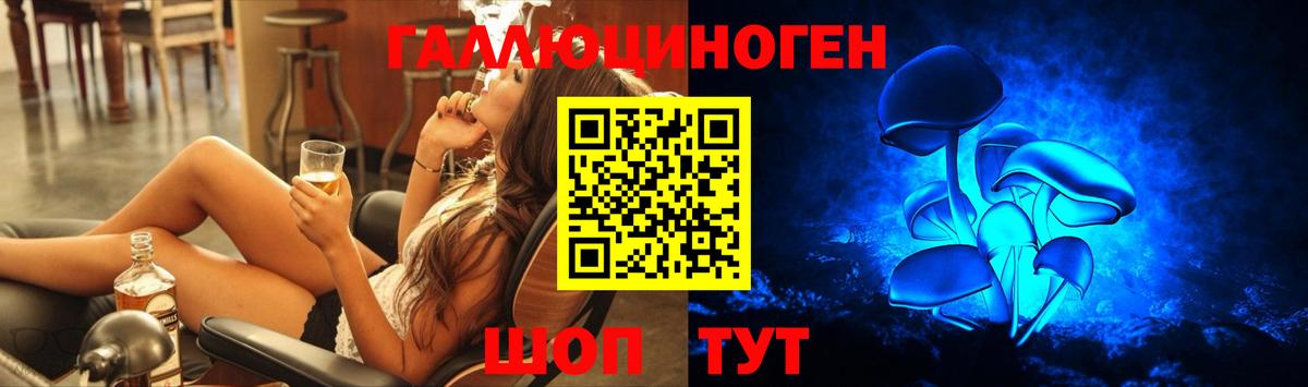 Галлюциногенные грибы Magic Shrooms  Вход с VPN  Мирный  Псилоцибиновые грибы прущие грибы 